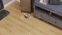 1002-9 Caro