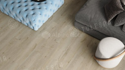 1002-11 Agny