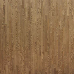 ASH PAMPERO Focus Floor (3,41)