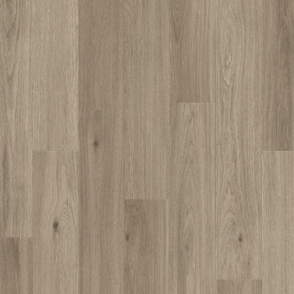 RST61048 Дуб Старк