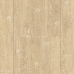 ECO 5-31 Камфора LVT
