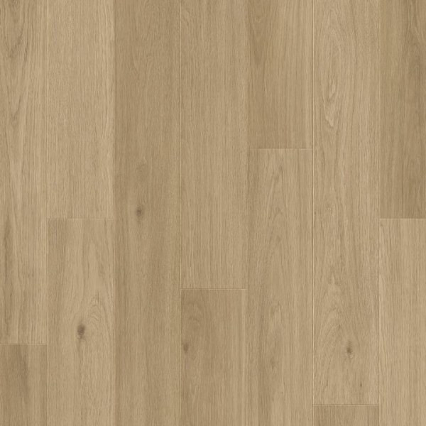 RST61049 Дуб эфирный