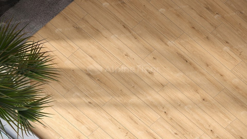 62757 Дуб Намиб Arteo 8 M WR