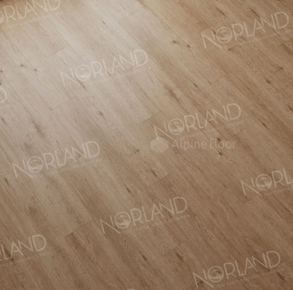 Виниловый ламинат Norland 1003-1 Abbi LVT