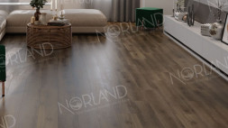 1001-22 Kveld