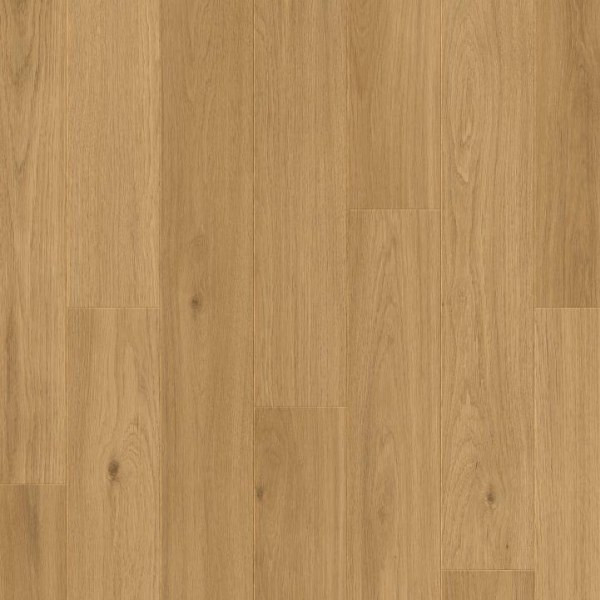 RST61083 Дуб тёплый