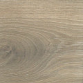 S529 Дуб Миндальный Solid Plus