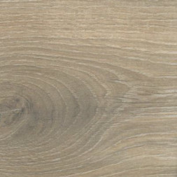 S529 Дуб Миндальный Solid Plus