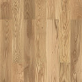 Дуб Барон браш Step XL (0,984)