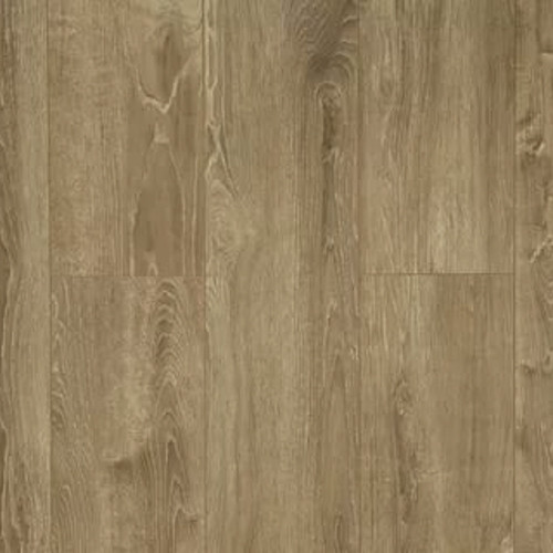 S622 Дуб Балеарский Solid Plus