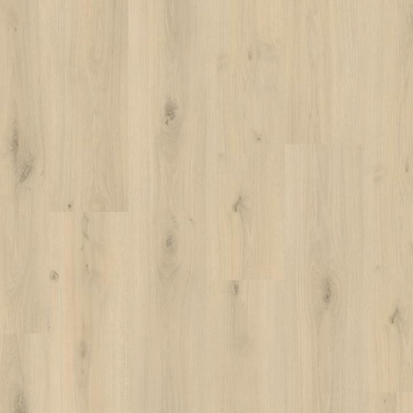LVI61068 Дуб Диана