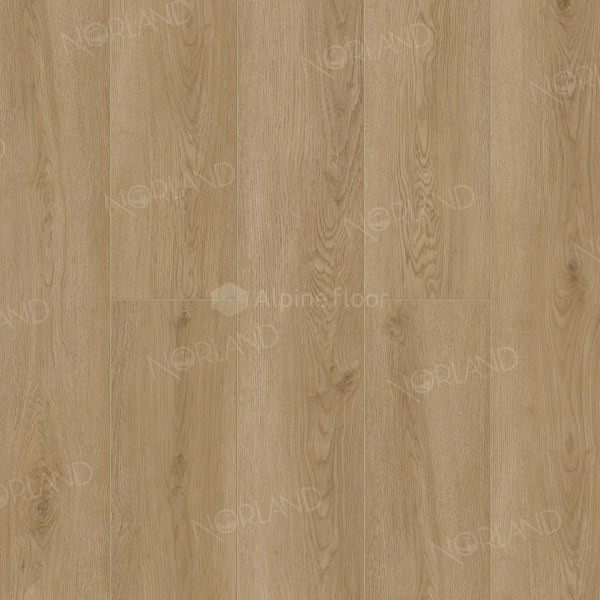 Виниловый ламинат 1003-21 Rett LVT