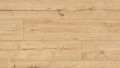 55092 Дуб Атакама Arteo 8 XL WR