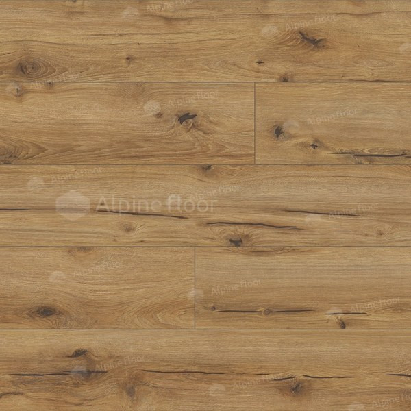 62750 Дуб Эрг Arteo 8 M WR