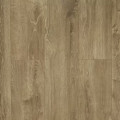SM622 Дуб Балеарский Solid Medium
