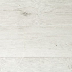 D3482 Платан Малибу Aurum Gusto