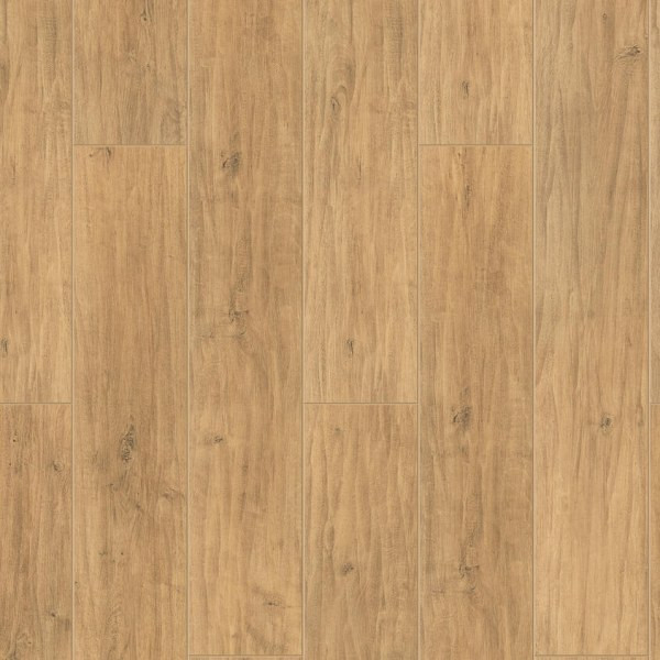 SEDGWICK Арт. 504478003