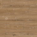 62754 Дуб Катам Arteo 8 M WR