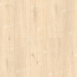 ECO 11-23 Адендрон
