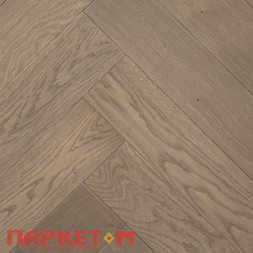 Дуб Ялгора Стародуб