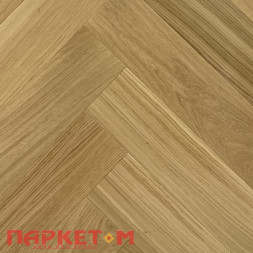 Дуб Гирвас Стародуб