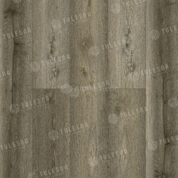 1004-13 FORESTA