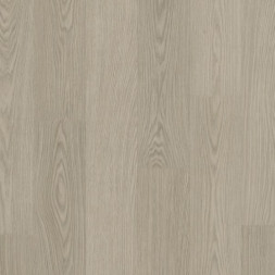 AVSPU 40280 Дуб чиа