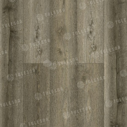 1004-1301 Foresta